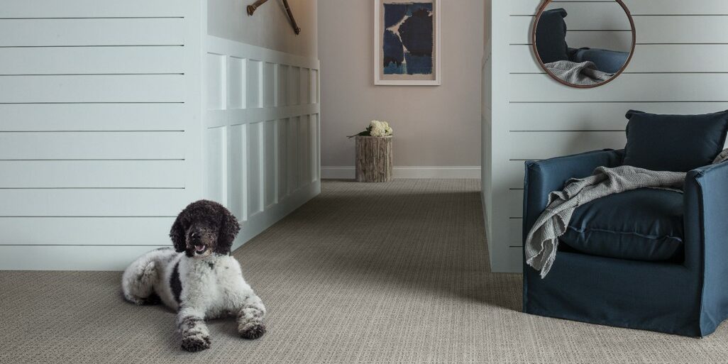 Pet friendly floor | Eternally Homes